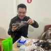 Phùng đại