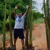 luciosilvadossantos