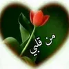 user39412383