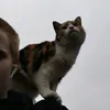 raymedds