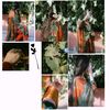 syeda12343
