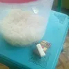 bakulpitik29