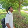 sunshine_otf