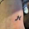 yalmz.h