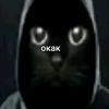 bobr1ktop1