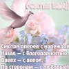roza3256197