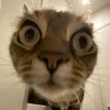 ugarka_1