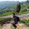 bhimlimbu70
