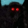 mothman_666