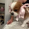 _.ritaa____