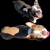 dogdays85