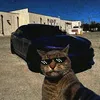 gusta.brtiktok1_