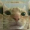 gui_czo7