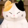 noah_17370