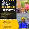 prince_electricals1