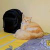 mailanie_gyna