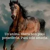 robertyx10