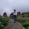 hanny3791