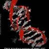 genomicas
