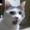 gdatvippro