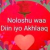 husseinabdulle6600