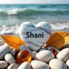 shanigshani19