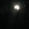 zombified_27