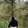 reynataaulia12
