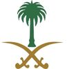 ahmadalneami99