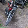 barsik7572