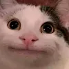 maykelxzc