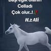 bedirhanbahtiyar