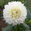 margo13345