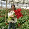 kim_huyen_1991