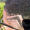 barberuvdayear