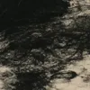 f1_ll1