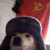 rogarik_228