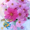 abdelwhab062