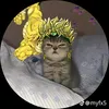 edgardo_lol