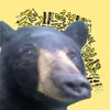 sem_demarco