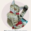babypetzshop