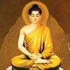 thieutong0