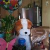 user412628267blanca