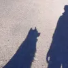 patrickmisterdol