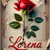 _lorena_446