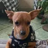 jhonneqwmo3