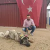 turkish.dad7