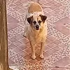 cristinalai2