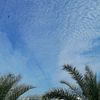 abu_alma7a