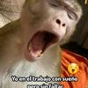 turo2022